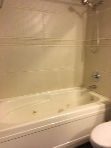 1505-1068 Hornby Street, Vancouver, BC 