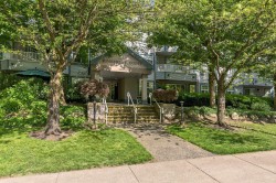 103-11960 Harris Road  Pitt Meadows, BC V3Y 2R1