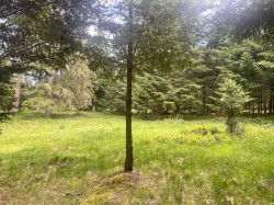 1830 Seymour Road  Gabriola Island, BC V0R 1X6