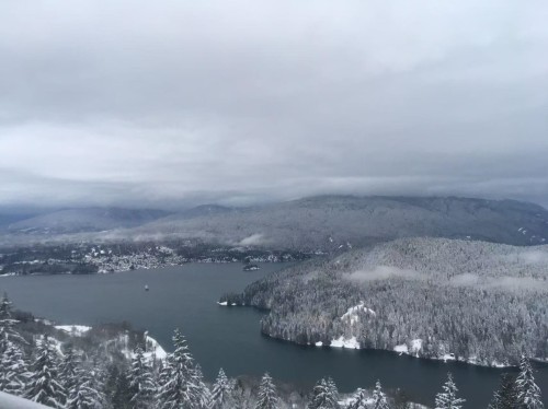 1103-8850 University Crescent, Burnaby, BC 