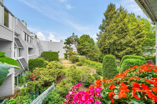 201-7431 Blundell Road  Richmond, BC V6Y 3G8