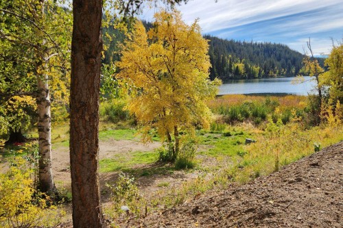 7326 Tyaughton Lake Road, No City Value, BC 