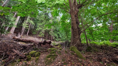 488 Letour Road, Mayne Island, BC 