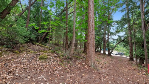 488 Letour Road, Mayne Island, BC 