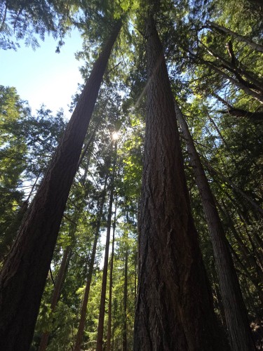 488 Letour Road, Mayne Island, BC 