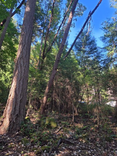 488 Letour Road, Mayne Island, BC 