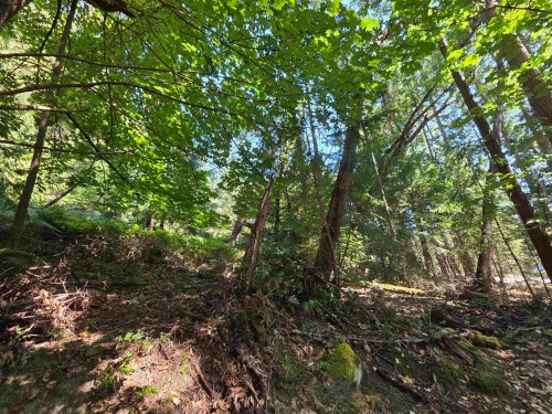 488 Letour Road, Mayne Island, BC 