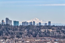 1702-320 Royal Avenue  New Westminster, BC V3L 5C6