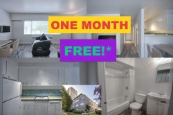 201-1540 Haro Street  Vancouver, BC V6G 1G6