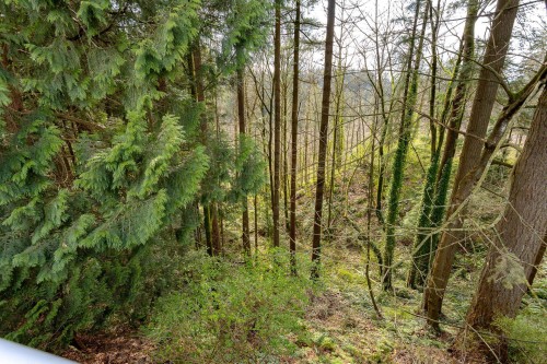 3126 Mariner Way, Coquitlam, BC 