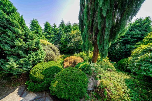 1346 Whitby Road, West Vancouver, BC 