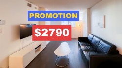 509-1009 Harwood Street  Vancouver, BC V6Z 1Z7