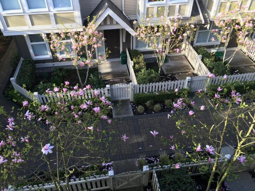 11-9333 Ferndale Road, Richmond, BC 