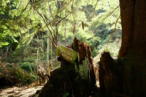 26 Brighton Beach, North Vancouver, BC 