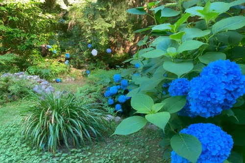 26 Brighton Beach, North Vancouver, BC 