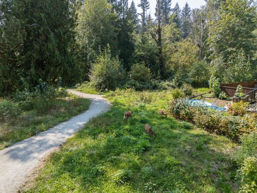 23091 134 Loop, Maple Ridge, BC 