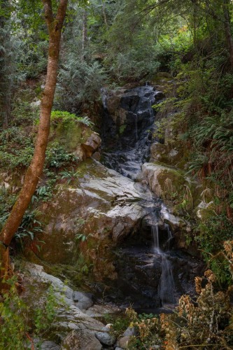 5439 Indian River Drive, North Vancouver, BC 