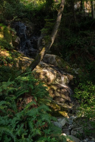 5439 Indian River Drive, North Vancouver, BC 