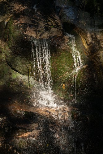 5439 Indian River Drive, North Vancouver, BC 