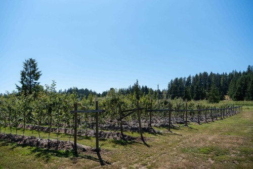 6316 Crowston Road, Sechelt, BC 