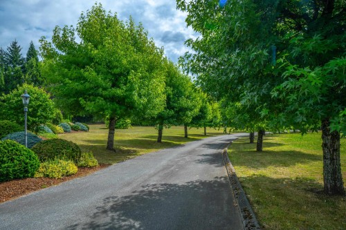 10270 Rolley Crescent, Maple Ridge, BC 