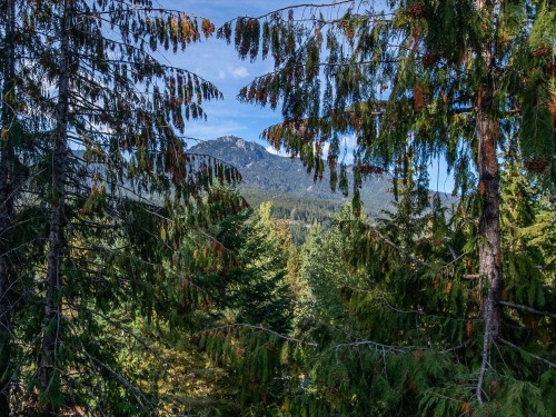 2317 Cheakamus Way, Whistler, BC 