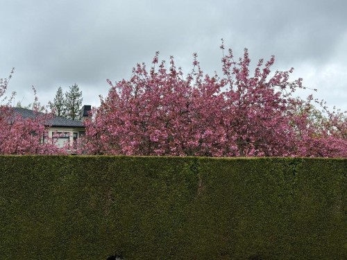 1368 Minto Crescent, Vancouver, BC 