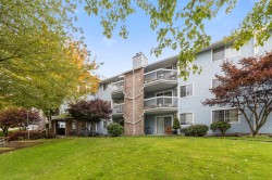 218-11510 225 Street  Maple Ridge, BC V2X 9Y3