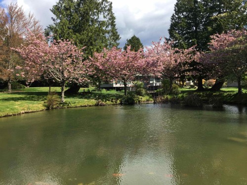 26-555 Eaglecrest Drive, Gibsons, BC 