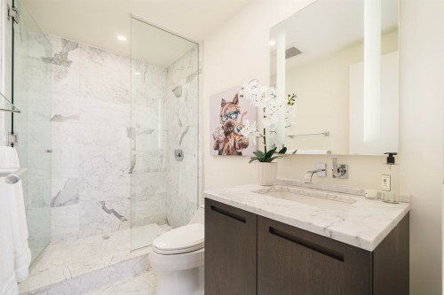 4102-1011 Cordova Street W, Vancouver, BC 