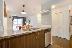 207-3240 St Johns Street  Port Moody, BC V3H 0C1