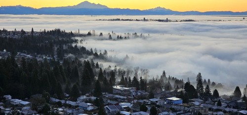 2307-505 Nelson Street, Coquitlam, BC 