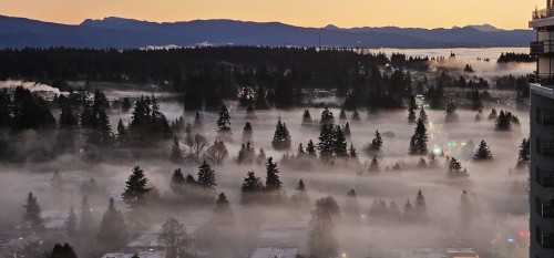 2307-505 Nelson Street, Coquitlam, BC 