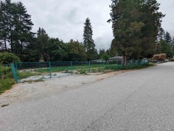 21321 122 Avenue  Maple Ridge, BC V2X 3W4