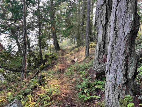 Lot 2-North End Road, Salt Spring Island, BC 
