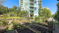 206-2733 Chandlery Place  Vancouver, BC V5S 4V3