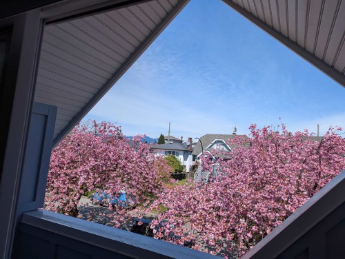 2972 7Th Avenue E, Vancouver, BC 