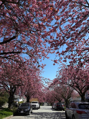 2972 7Th Avenue E, Vancouver, BC 