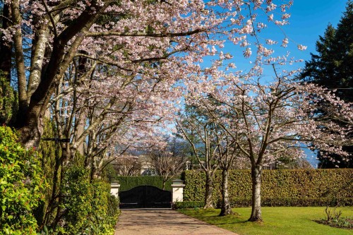 4778 Drummond Drive, Vancouver, BC 