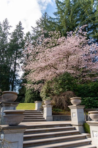 4778 Drummond Drive, Vancouver, BC 