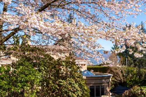 4778 Drummond Drive, Vancouver, BC 