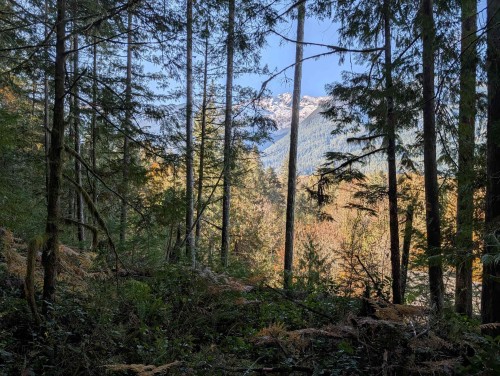 2045 Rustad Road N, Squamish, BC 