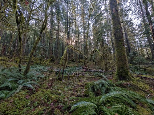 2045 Rustad Road N, Squamish, BC 