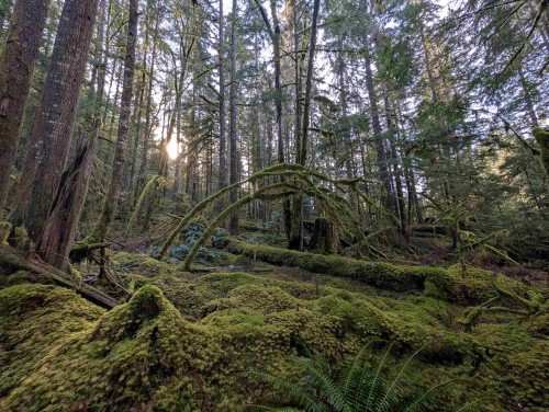 2045 Rustad Road N, Squamish, BC 