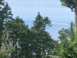 561 English Bluff Road  Delta, BC V4M 2M9