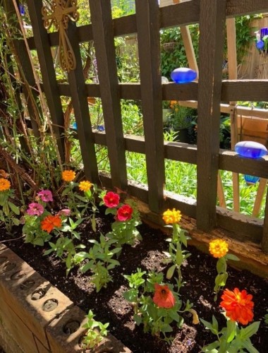 2532 Burian Drive, Coquitlam, BC 