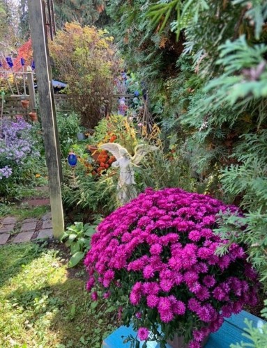 2532 Burian Drive, Coquitlam, BC 