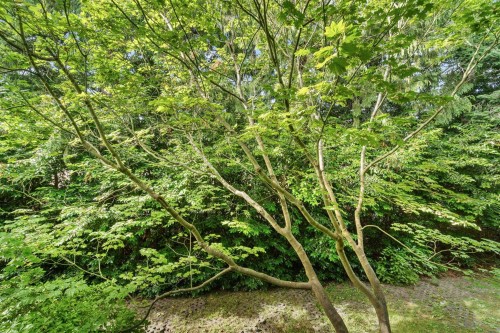 118-7431 Minoru Boulevard, Richmond, BC 