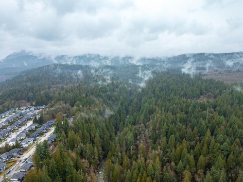 13800 236 Street, Maple Ridge, BC 