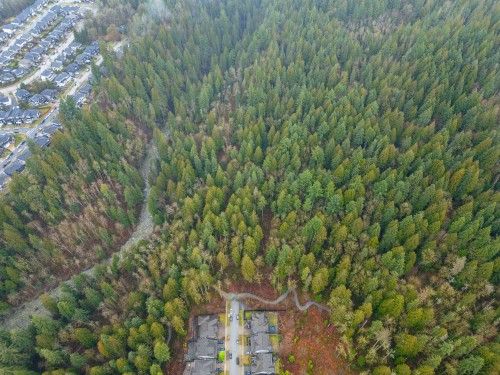 13800 236 Street, Maple Ridge, BC 